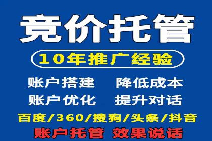 SEM服务案例：助力企业拓展海外市场