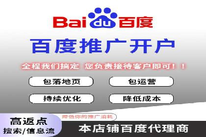 SEM广告案例：数据分析驱动营销决策
